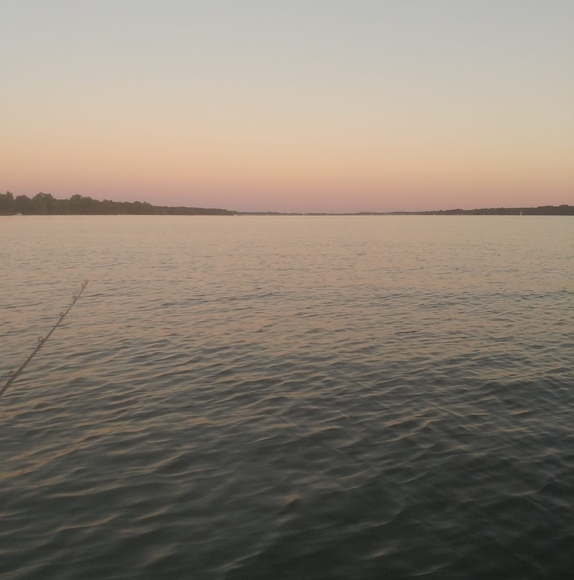 sunmuskie